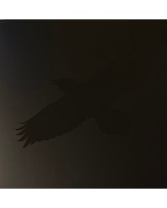 Odin's Raven Magic