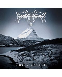 True North
