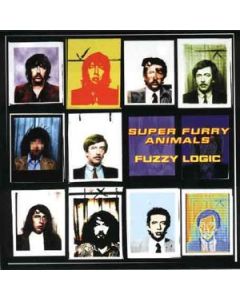 Fuzzy Logic
