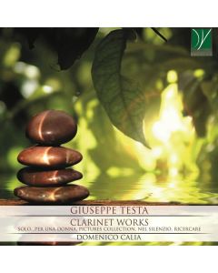 Clarinet Works