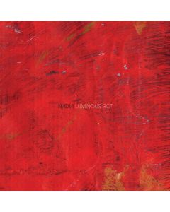 Luminous Rot