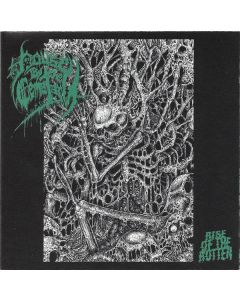 Rise Of The Rotten