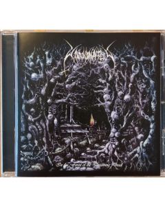 In The Forest Of The Dreaming Dead