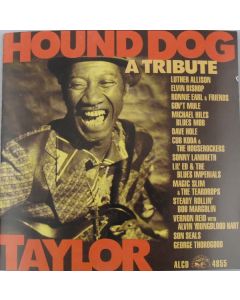 Hound Dog Taylor (A Tribute)
