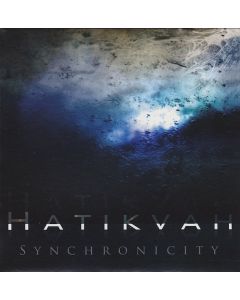 Synchronicity