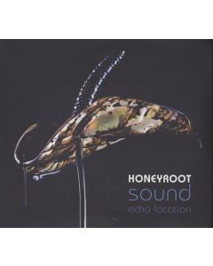 Sound Echo Location