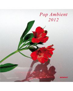 Pop Ambient 2012