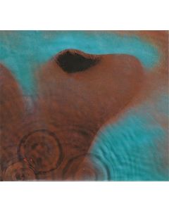 Meddle