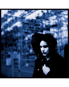 Blunderbuss