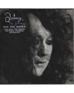 Cut The World