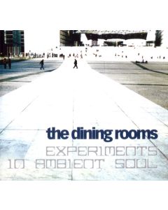 Experiments In Ambient Soul