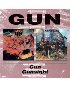 Gun / Gunsight