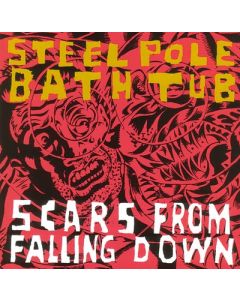 Scars From Falling Down