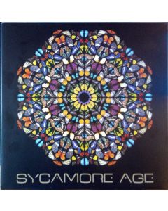Sycamore Age