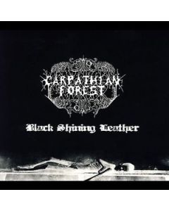 Black Shining Leather