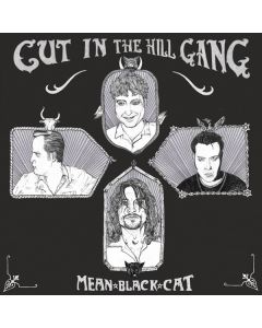 Mean Black Cat