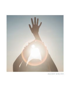 Shelter