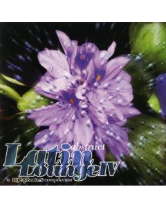 Abstract Latin Lounge Ⅳ