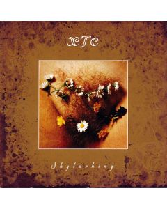 Skylarking