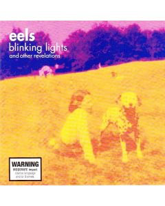Blinking Lights And Other Revelations