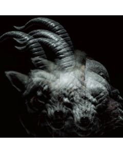 Beautiful Deformity