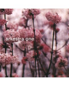 Arkestra One