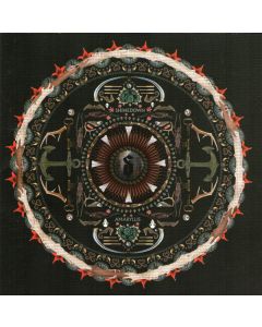 Amaryllis
