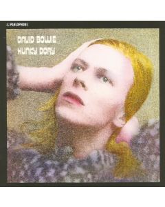 Hunky Dory