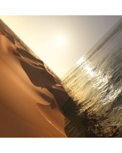 Under The Sun