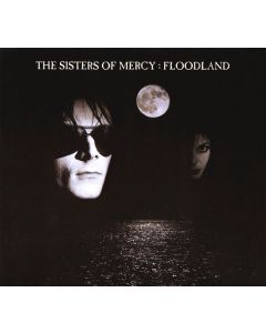 Floodland