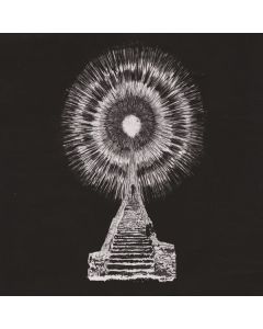 Visions in Bone
