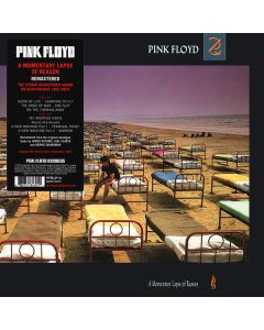 A Momentary Lapse Of Reason