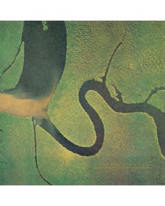 The Serpent's Egg