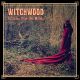 LITANIES FROM THE WOODS