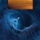 FEAR INOCULUM 4LP Box