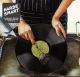 HARDE SMART: FLEMISH & DUTCH GROOVES