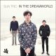 IN THE DREAMWORLD