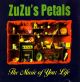 MUSIC OF YOUR LIFE